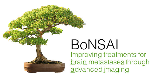 Bonsai