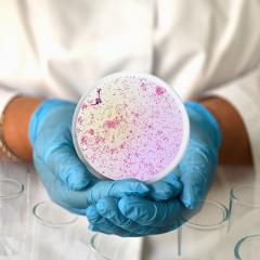 Person in lab coat and gloves holding petri dish