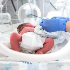 A pre-term baby lies in a humidi-crib as gloved hands reach in to administer medicine.