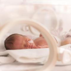 Newborn