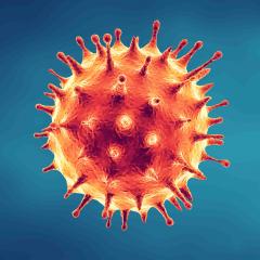 Coronavirus 