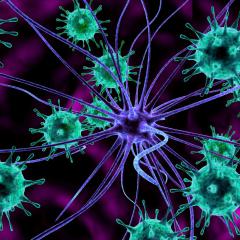 Bacteria