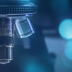 Microscope