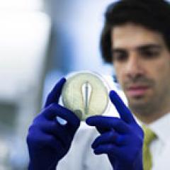 Researcher Hosam Mamoon Zowawi said the ‘phantom’ superbugs were found during a region-wide collaborative study on superbugs.