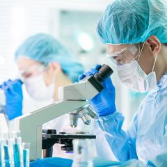 Researchers in lab