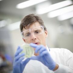 Professor David Paterson