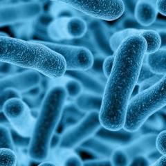 Antibiotic molecules