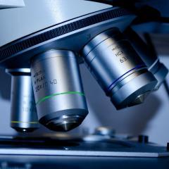 University of Queensland researchers receive NHMRC funding
