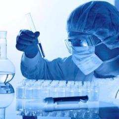 ARC grants boost Faculty research