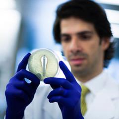 Surfwear founder’s charity backs UQ researcher in superbug war